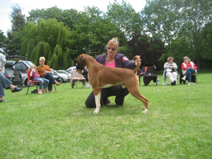 Graduate Dog